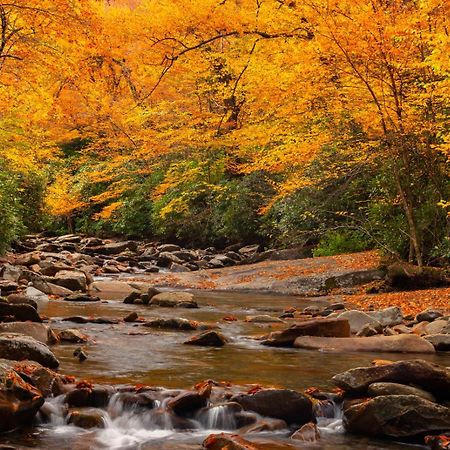 Peace, Serenity & Relaxation In The Smokies! ガトリンバーグ エクステリア 写真