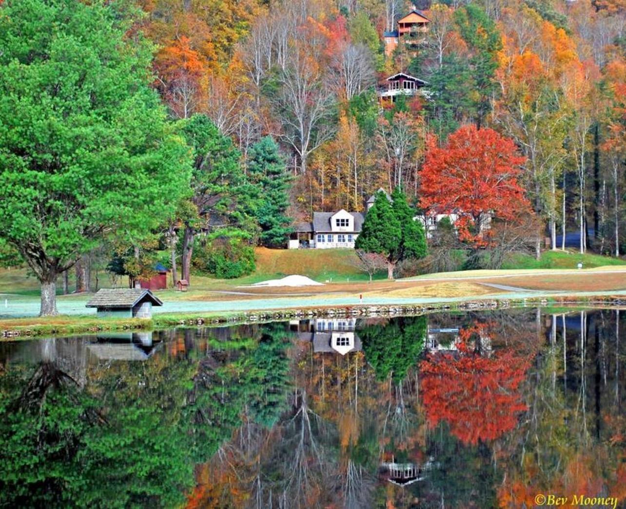 Peace, Serenity & Relaxation In The Smokies! ガトリンバーグ エクステリア 写真