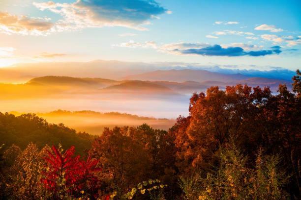 Peace, Serenity & Relaxation In The Smokies! ガトリンバーグ エクステリア 写真